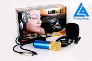 Micro thu âm BM 800 chuyên nghiệp giá rẻ lọc âm tại nhà